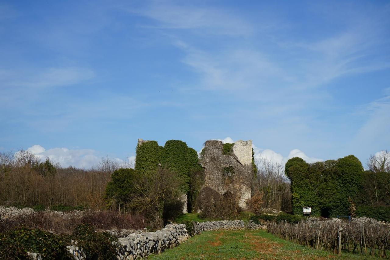 Villa Diny With Pool Pinezići 외부 사진